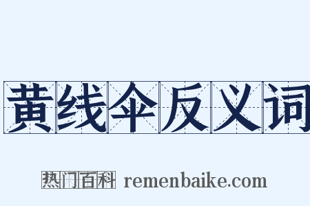 黄线伞反义词是什么意思的图片